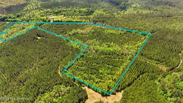 $115,000 | Vestry Road, Perkinston, MS 39573