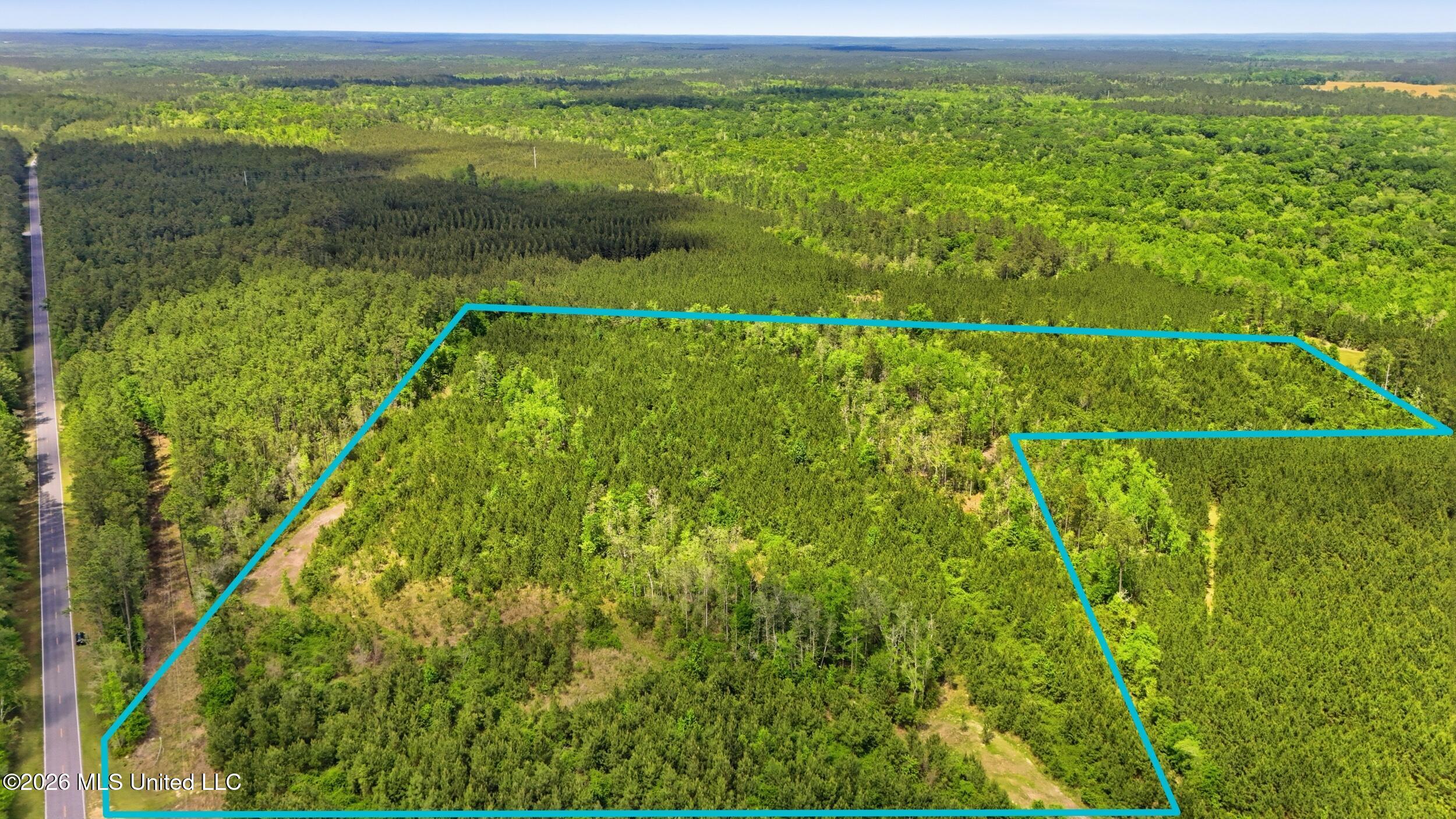 Vestry Road Perkinston, MS 39573 - Photo 8 of 35 dji_20260416135034_0617_d_lotlines