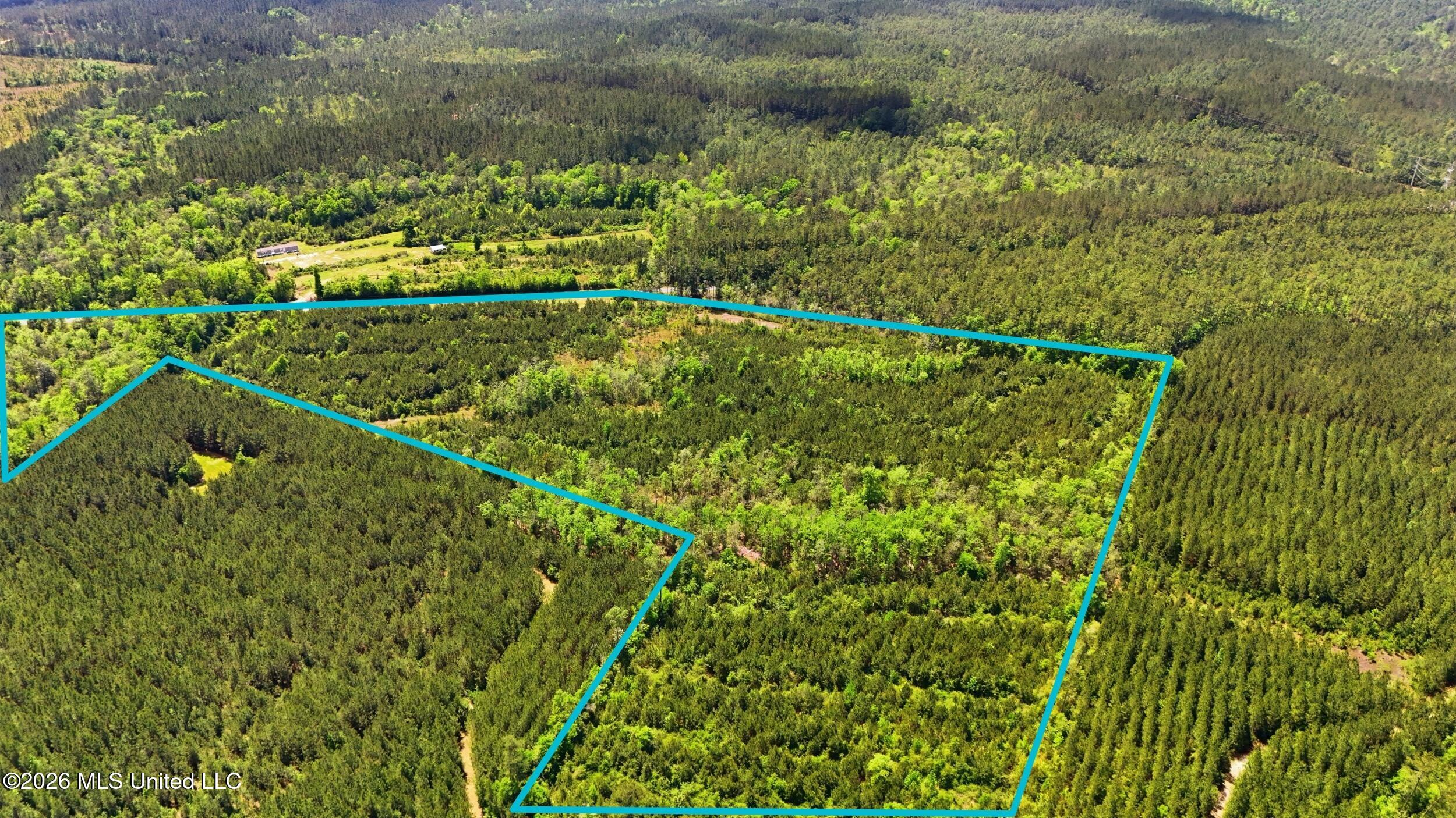 Vestry Road Perkinston, MS 39573 - Photo 10 of 35 dji_20260416134547_0584_d_lotlines