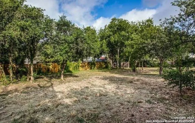 a view of a tree in the middle of a yard