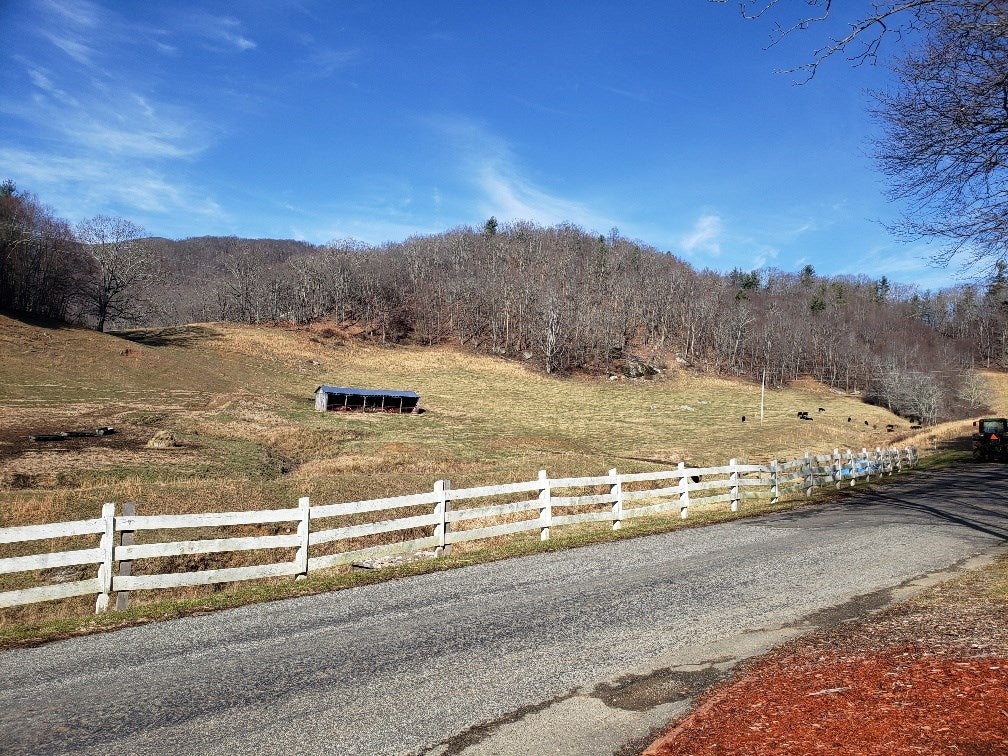1563 Peach Bottom Road Independence, VA 24348 - Photo 5 of 15 Gallery Image 5