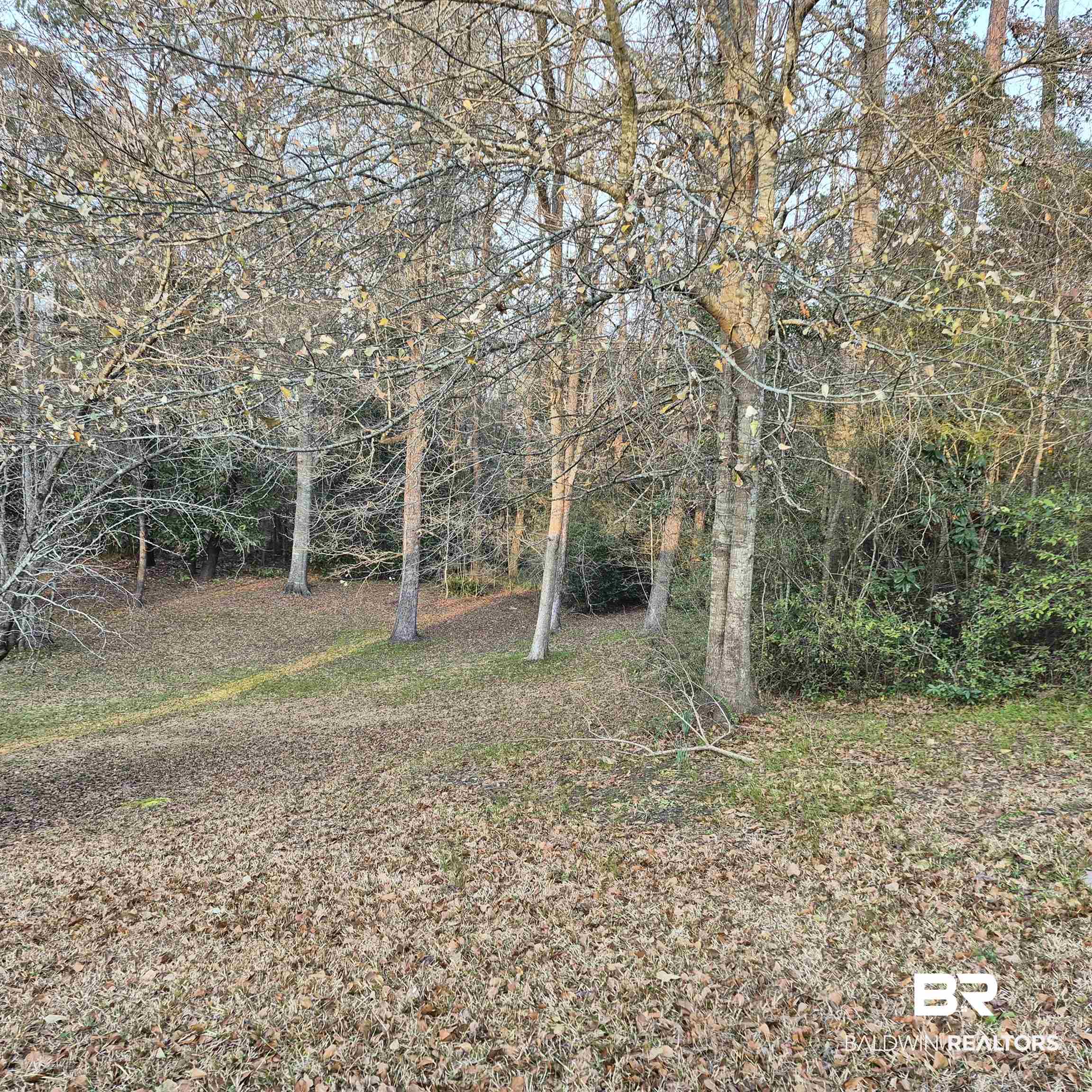 308 Rural Street Evergreen, AL 36401 - Photo 37 of 40 View of yard