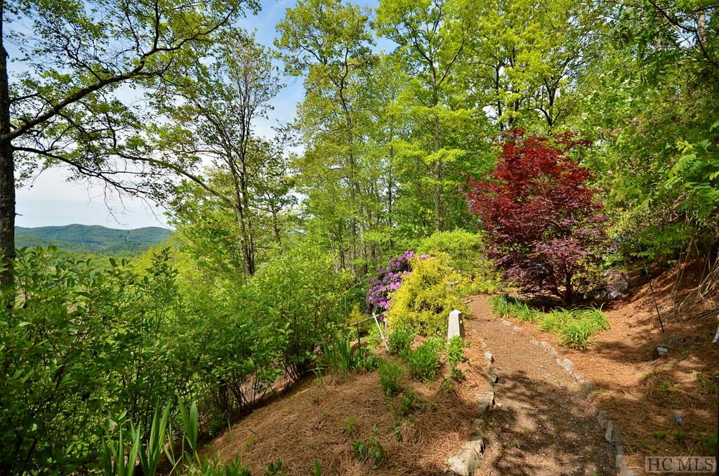 1238 Bright Mountain Road Cullowhee, NC 28723 - Photo 9 of 46 Gallery Image 9
