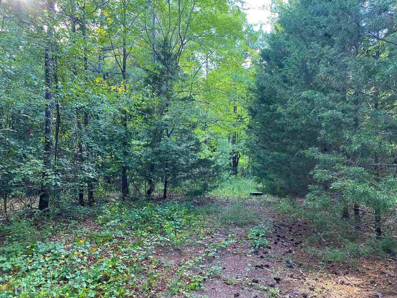 2604 Hughes Road Bowman, GA 30624 - Photo 1 of 1 a view of a lush green forest