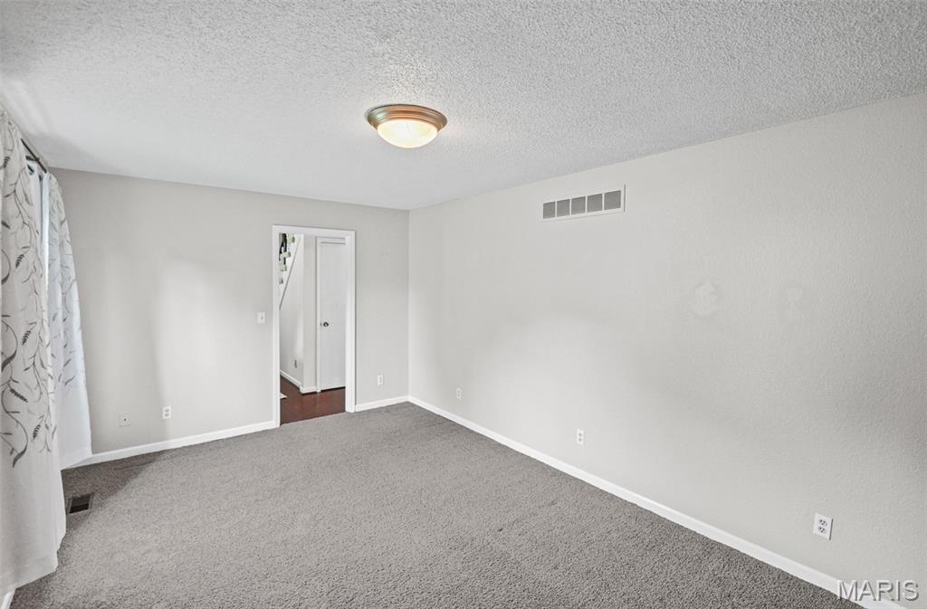 425 Weatherstone Drive Belleville, IL 62221 - Photo 9 of 47