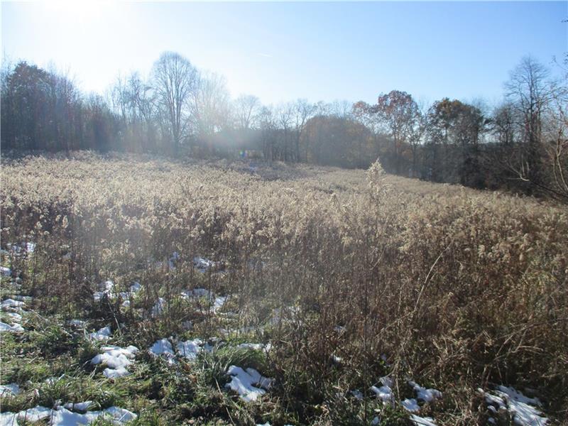 1337 Dutch Ridge Road Ellwood City, PA 16117 - Photo 4 of 9