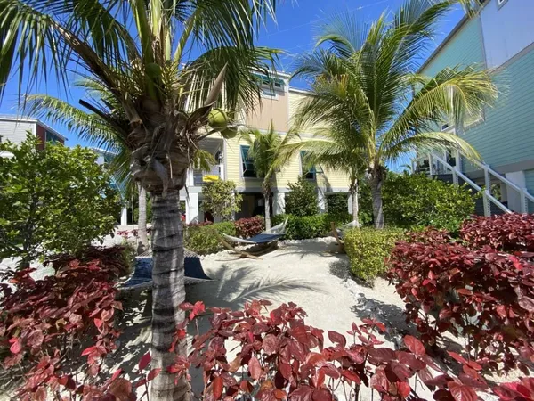 a view of a backyard with a plant