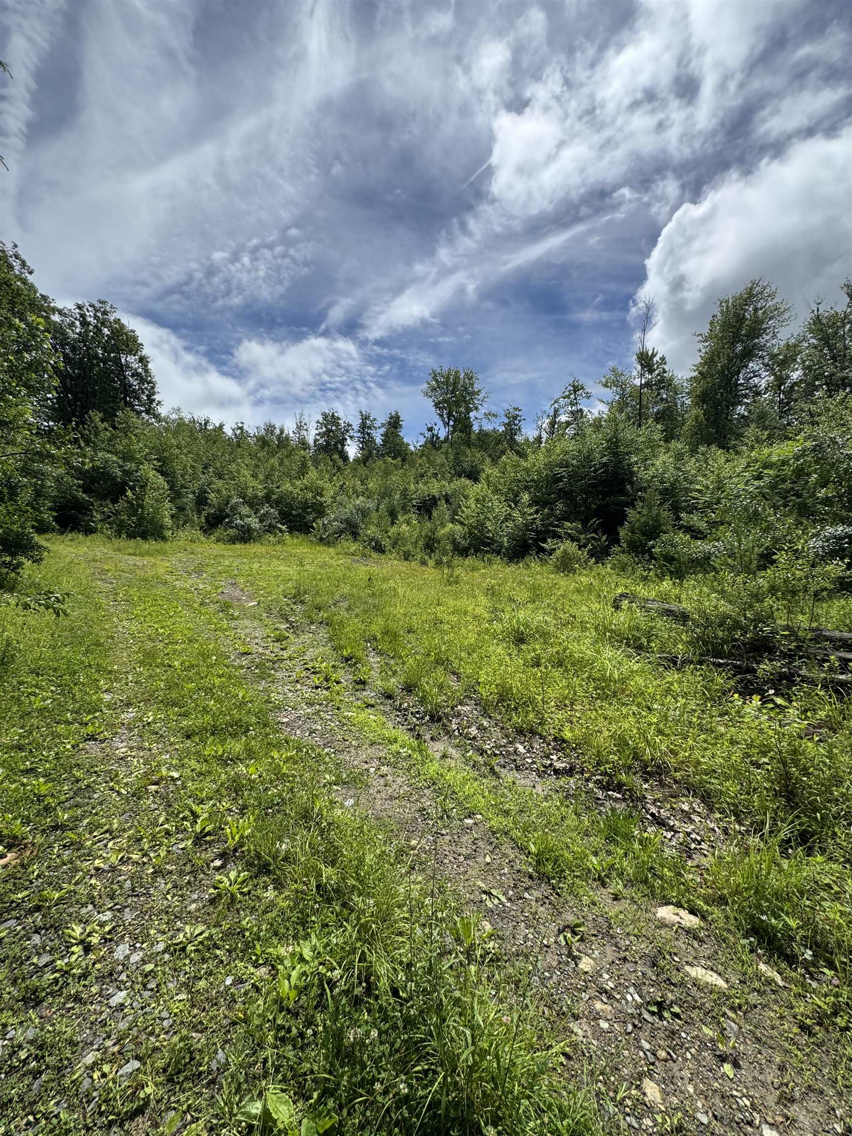 0 Hurricane Road, Unit BACKLAND Westmoreland, NH 03467 - Photo 8 of 10
