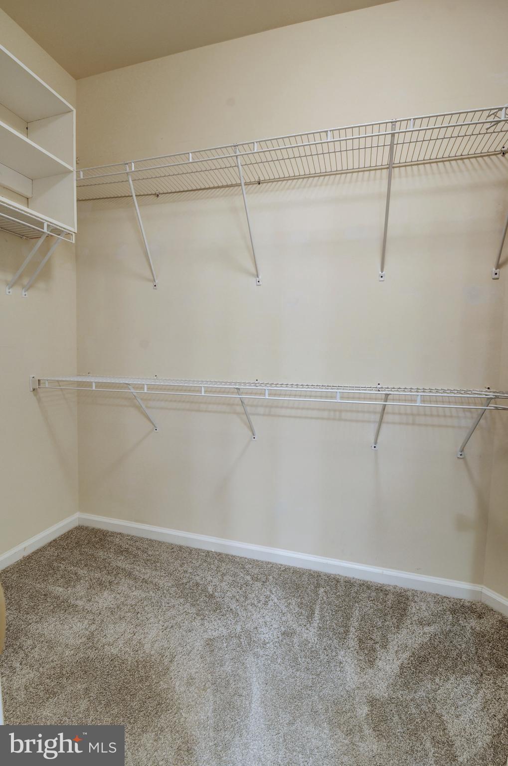 223 Spanish Oak Road Stephens City, VA 22655 - Photo 24 of 48 Master Closet in the bathroom