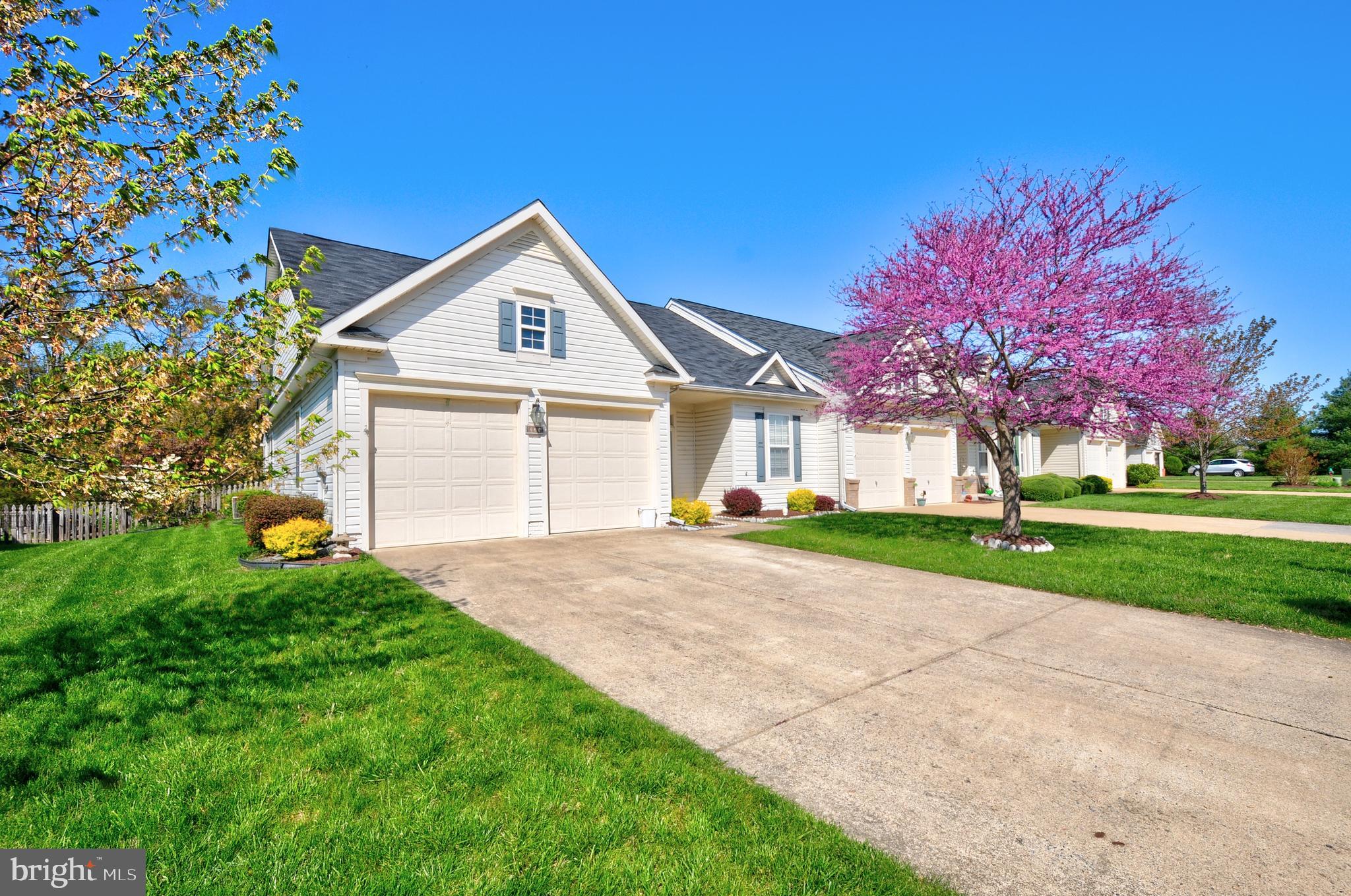 223 Spanish Oak Road Stephens City, VA 22655 - Photo 5 of 48 Concrete drive way