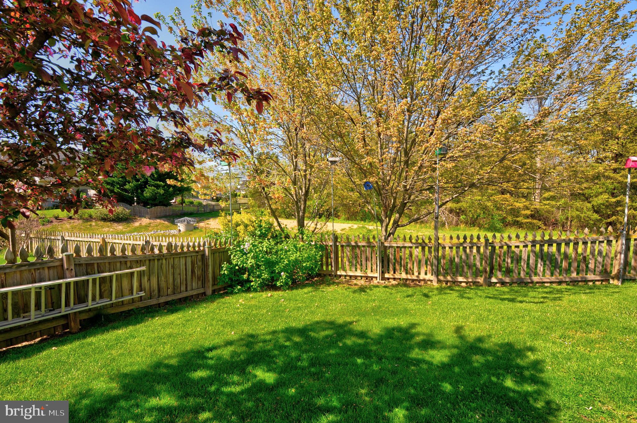 223 Spanish Oak Road Stephens City, VA 22655 - Photo 48 of 48