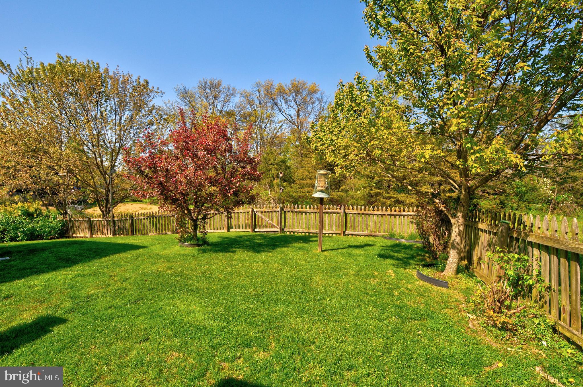 223 Spanish Oak Road Stephens City, VA 22655 - Photo 8 of 48 Fenced semi-flat yard