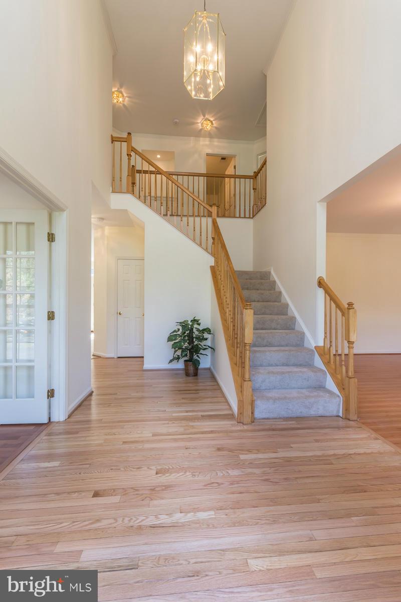 4917 Riding Ridge Court Laurel, MD 20707 - Photo 2 of 30 Two-Story Foyer w/hardwood flooring