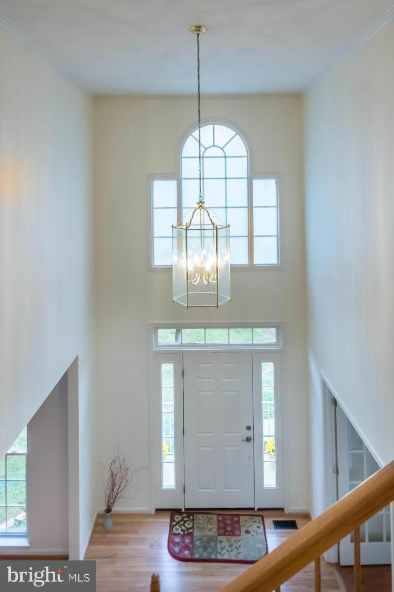 4917 Riding Ridge Court Laurel, MD 20707 - Photo 4 of 30 Grand Two-Story Foyer w/Palladian Window