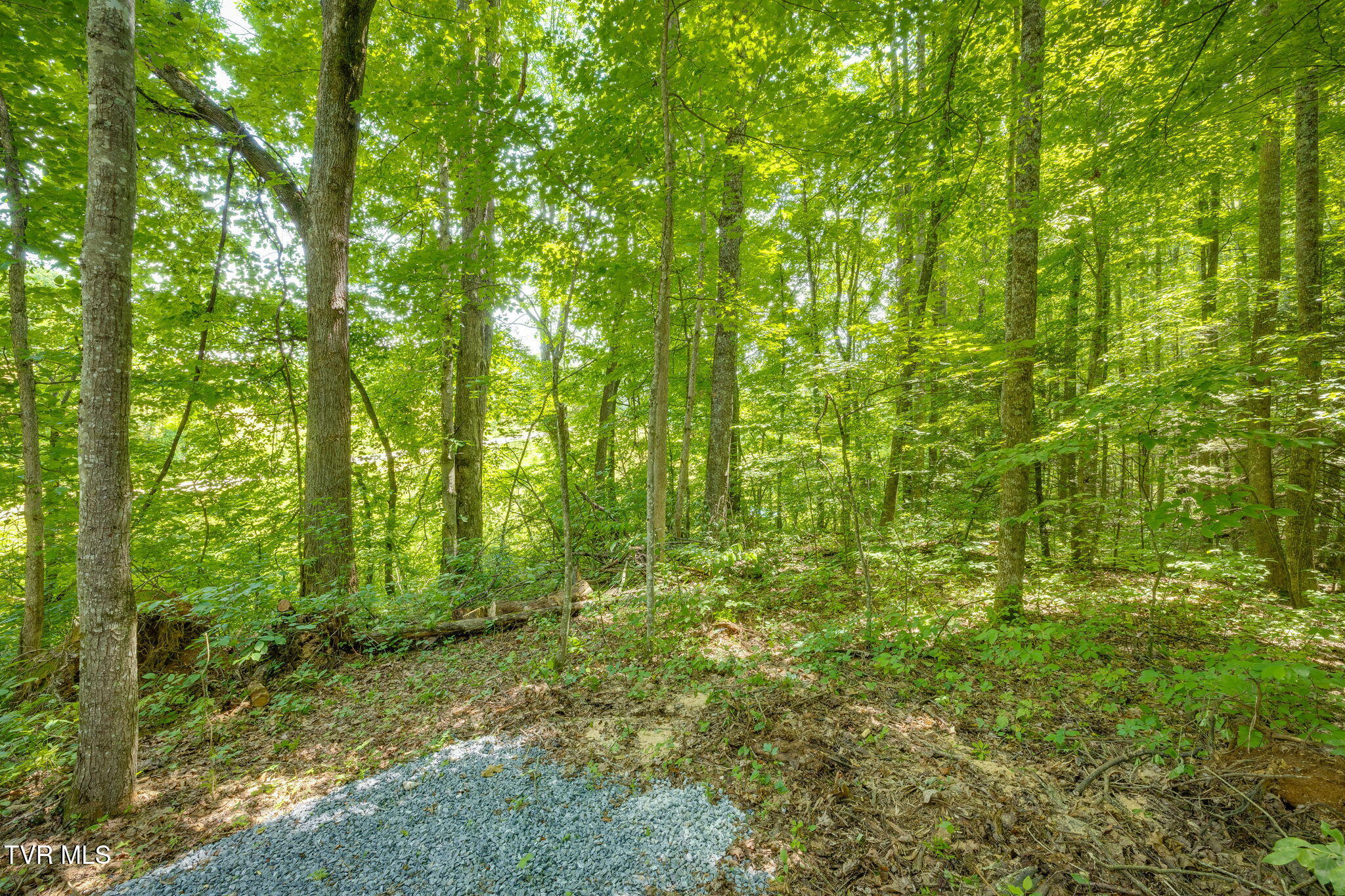 Tbd Jim Deal Road Elizabethton, TN 37643 - Photo 12 of 21 104