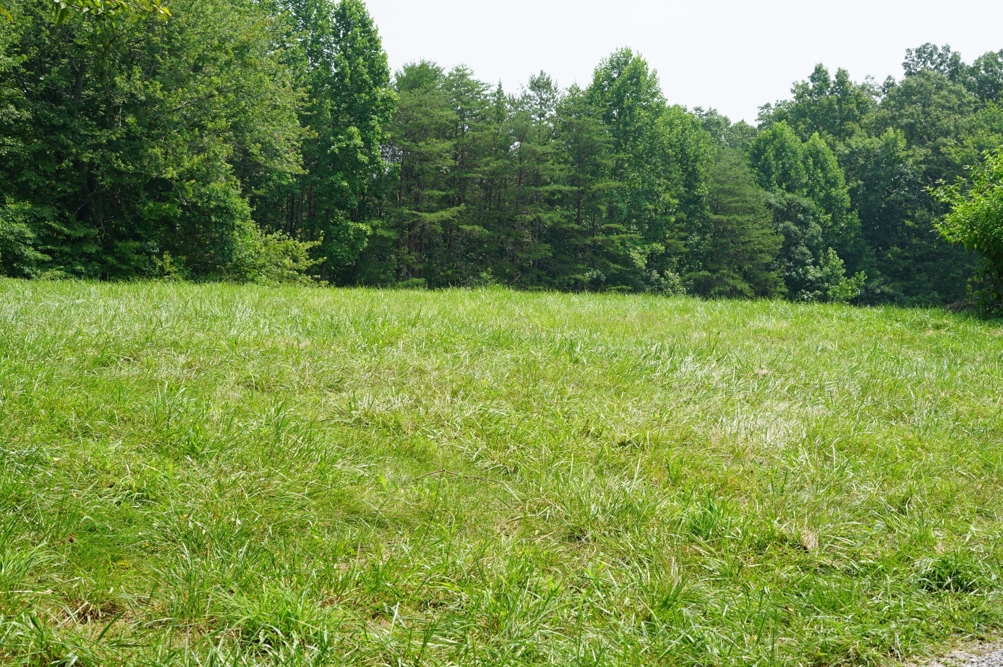 0 Manning Road Grandview, TN 37337 - Photo 1 of 12 Gallery Image 1