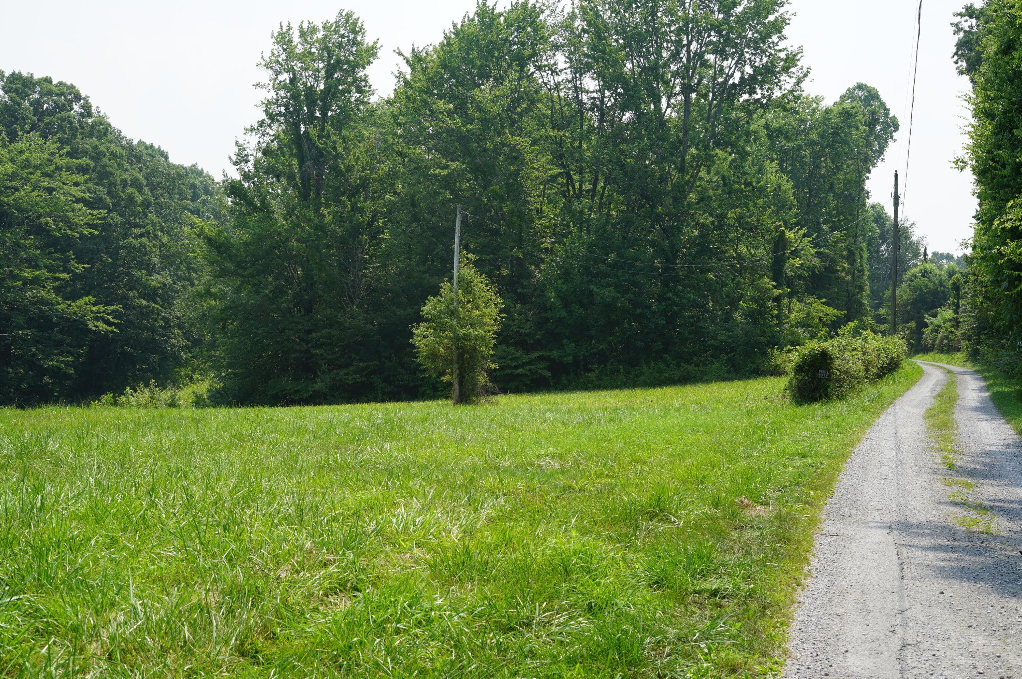 0 Manning Road Grandview, TN 37337 - Photo 4 of 12 Gallery Image 4