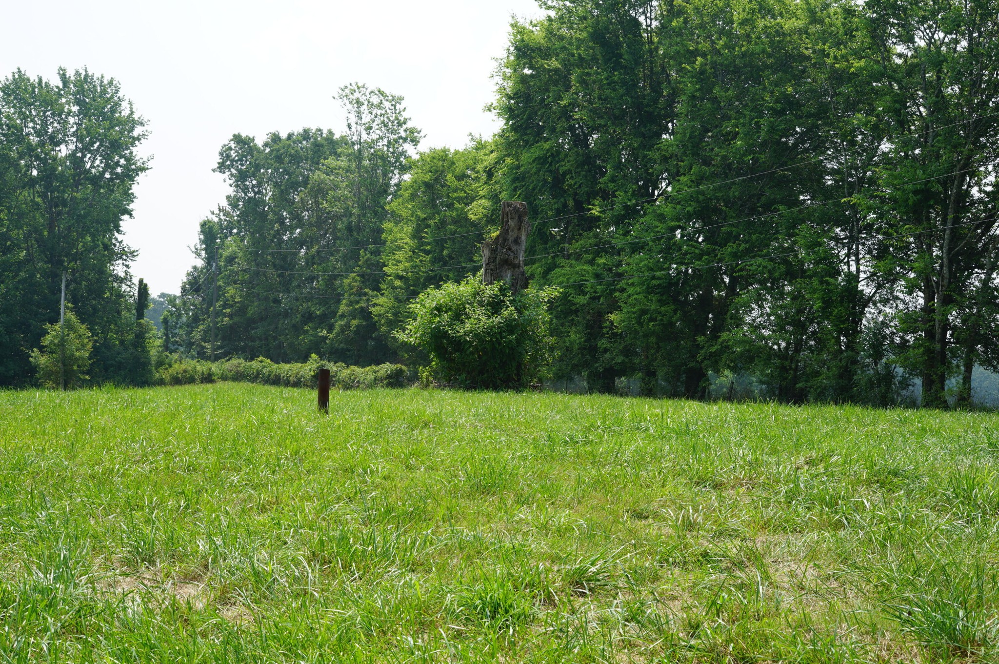 0 Manning Road Grandview, TN 37337 - Photo 6 of 12 Gallery Image 6