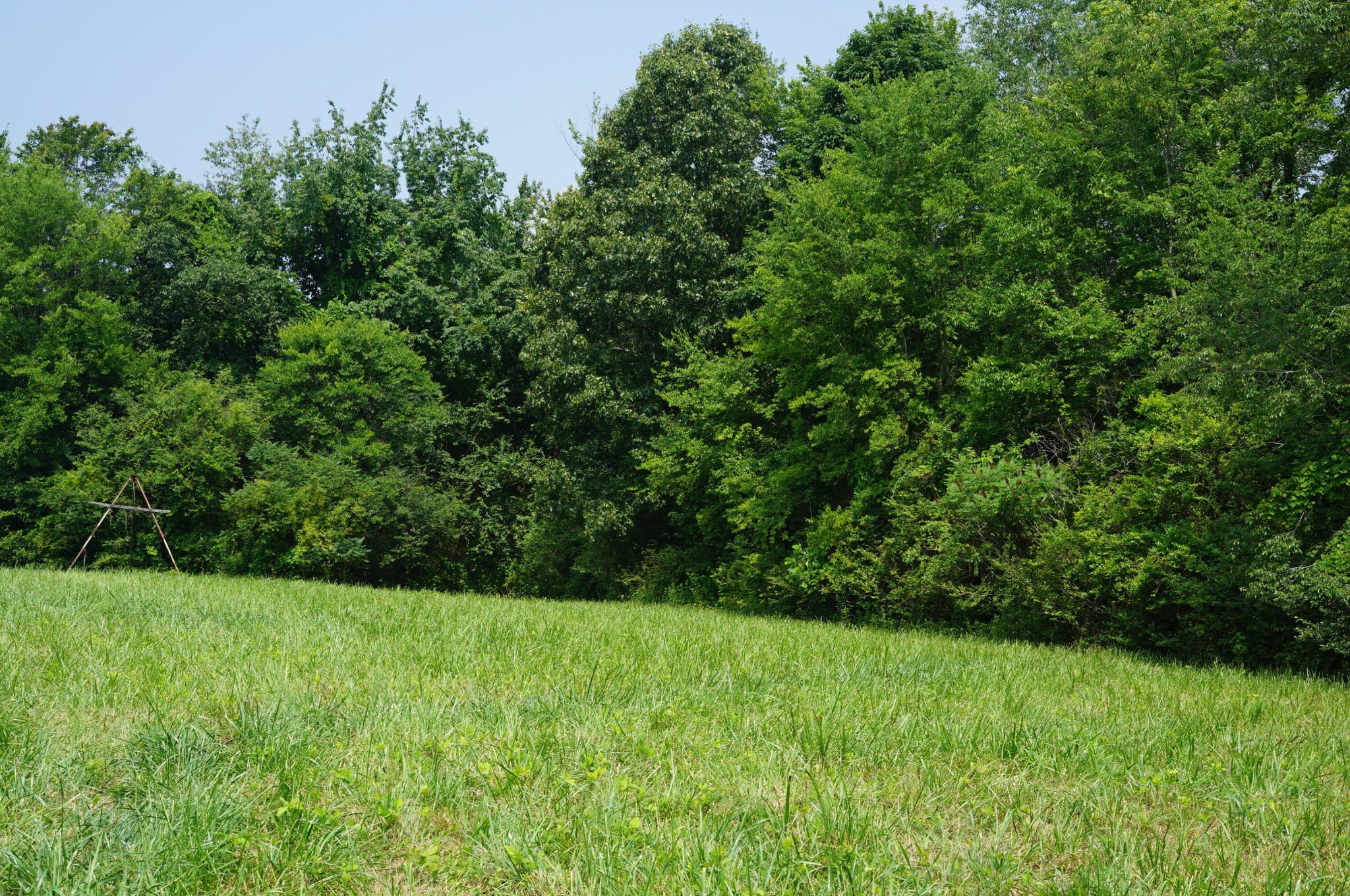 0 Manning Road Grandview, TN 37337 - Photo 7 of 12 Gallery Image 7