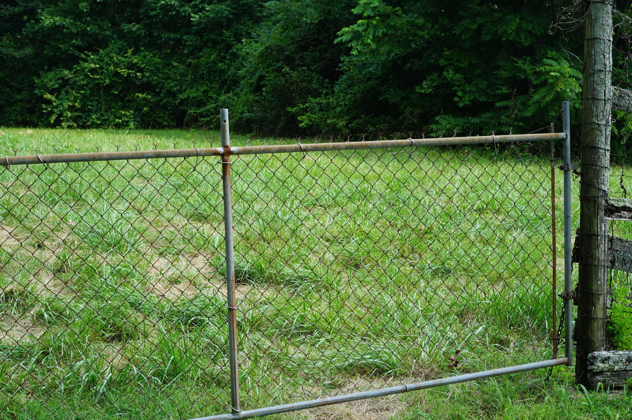 0 Manning Road Grandview, TN 37337 - Photo 10 of 12 Gallery Image 10