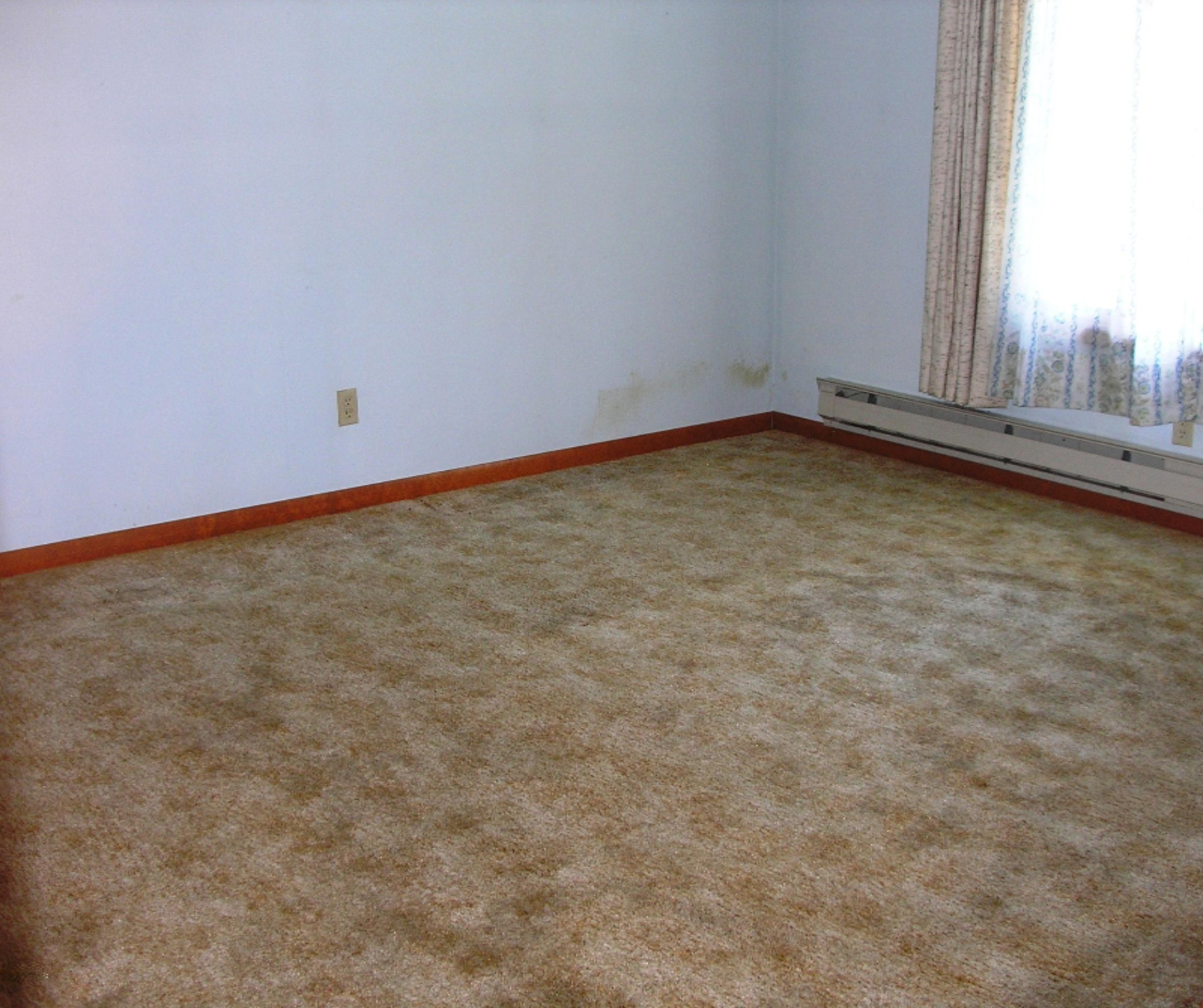 10894 Vidzeme Road Three Rivers, MI 49093 - Photo 12 of 22 P1010050