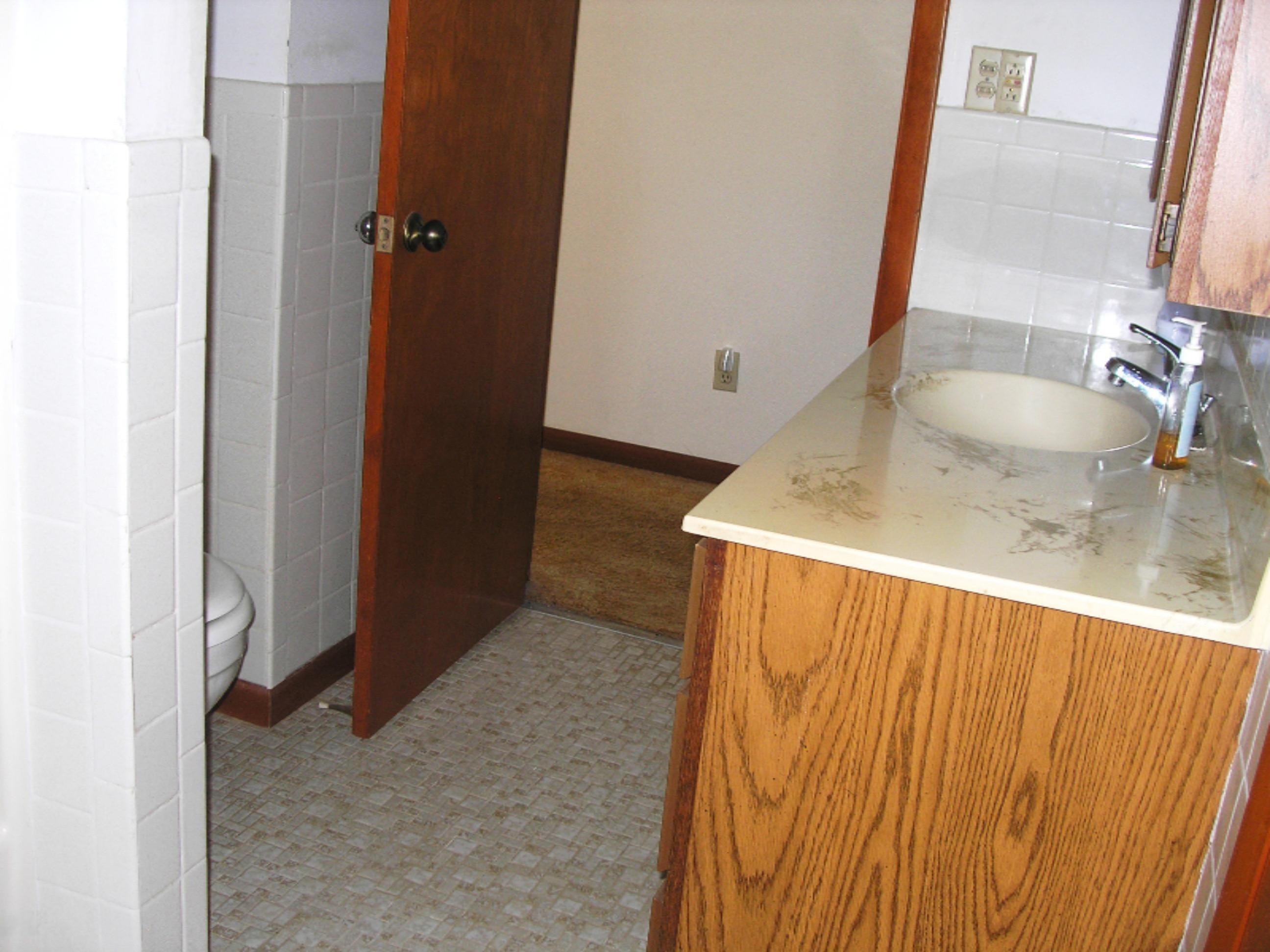 10894 Vidzeme Road Three Rivers, MI 49093 - Photo 15 of 22 P1010053