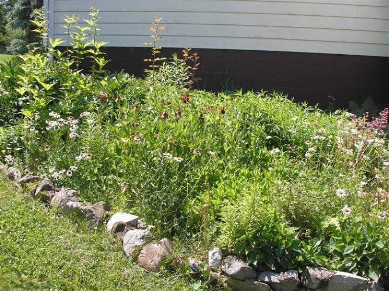 10894 Vidzeme Road Three Rivers, MI 49093 - Photo 20 of 22 Additional Photo