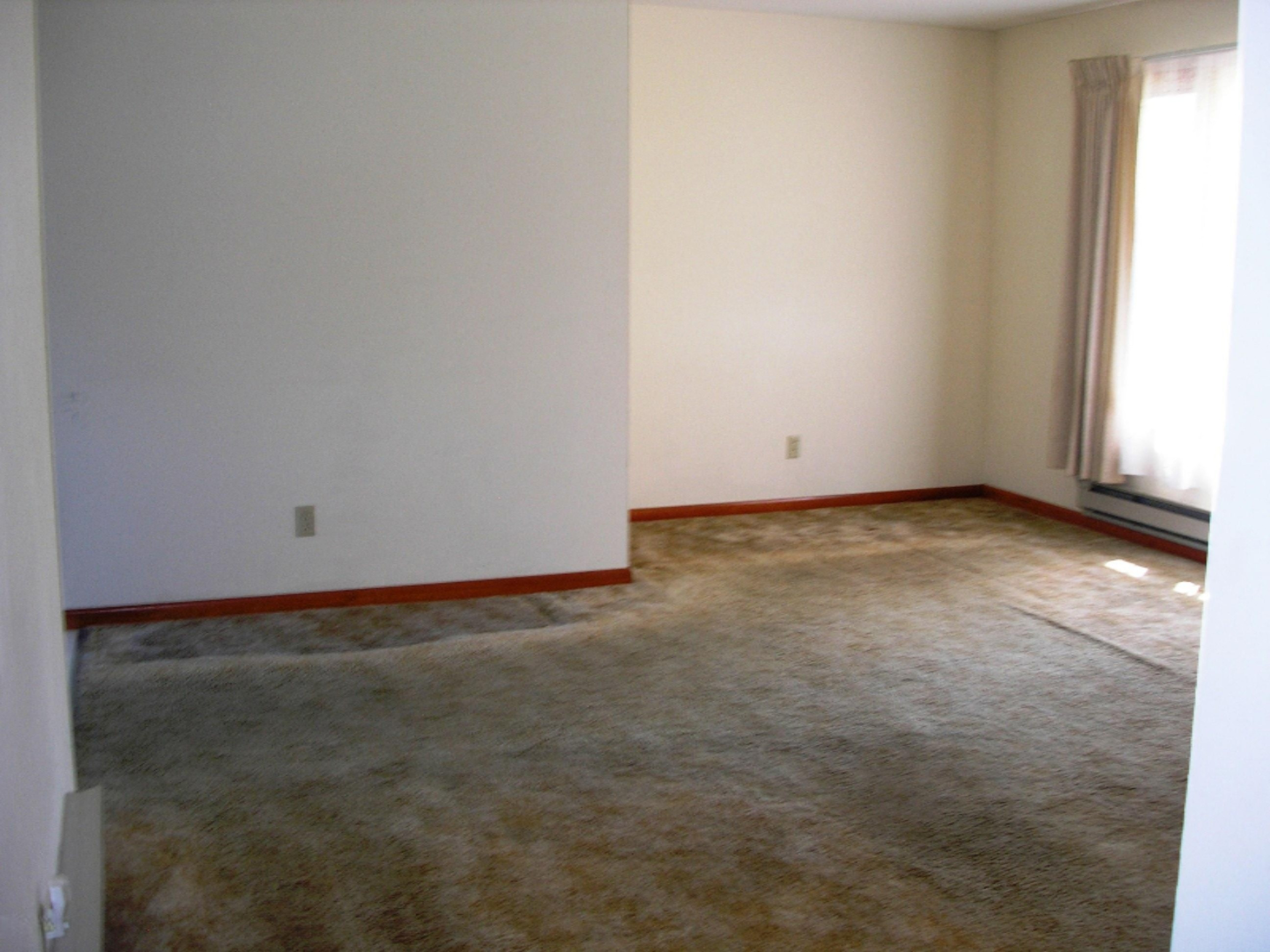 10894 Vidzeme Road Three Rivers, MI 49093 - Photo 8 of 22 P1010045