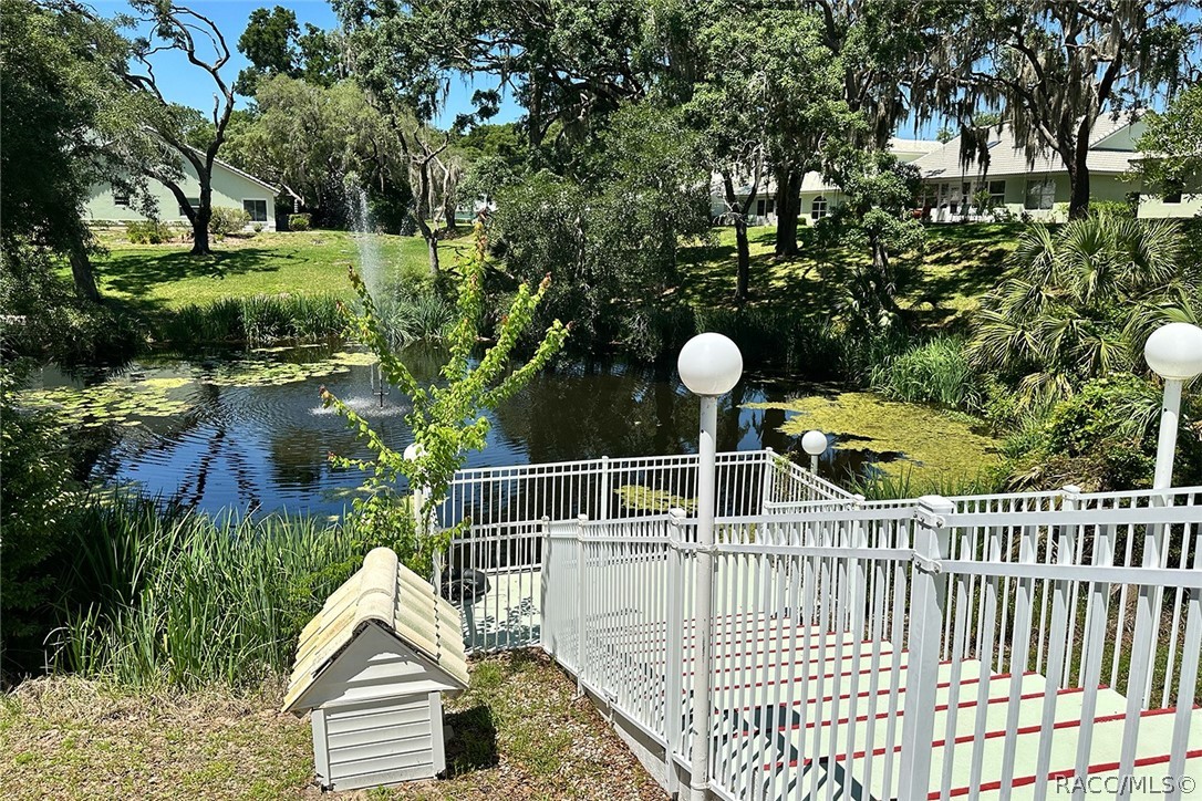 800 Balmoral Court Inverness, FL 34453 - Photo 54 of 72 Pool
