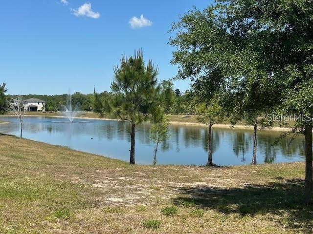 17249 Goldcrest Loop Clermont, FL 34714 - Photo 22 of 29 a view of a lake view