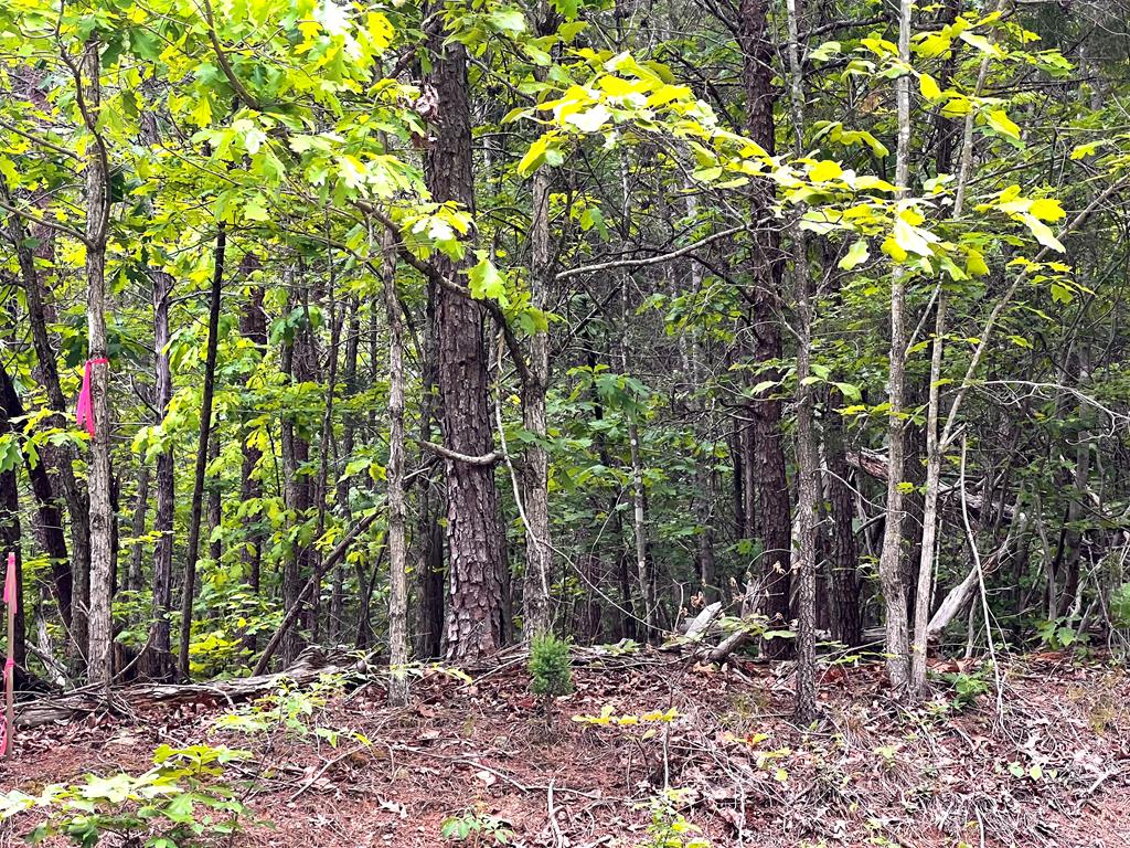 Old Tower Hill Road Dillwyn, VA 23936 - Photo 2 of 8 Gallery Image 2