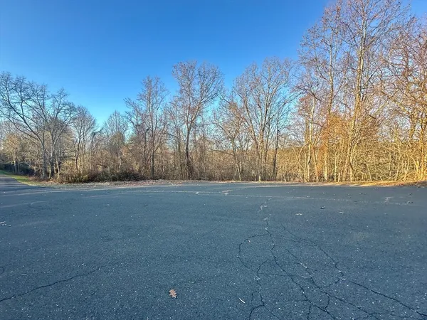 a view of dirt field and trees around