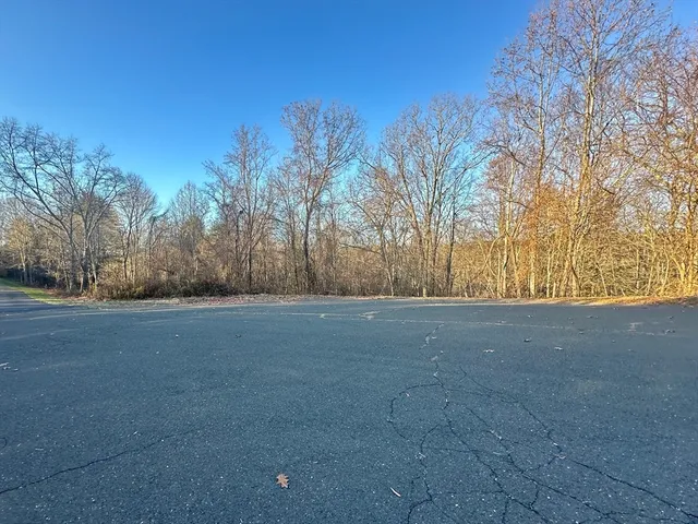 a view of dirt field and trees around