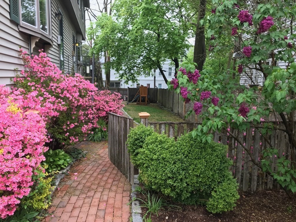 39 Hampstead Road, Unit 1 Boston, MA 02130 - Photo 27 of 29 a view of a flower arrangement in backyard of a house
