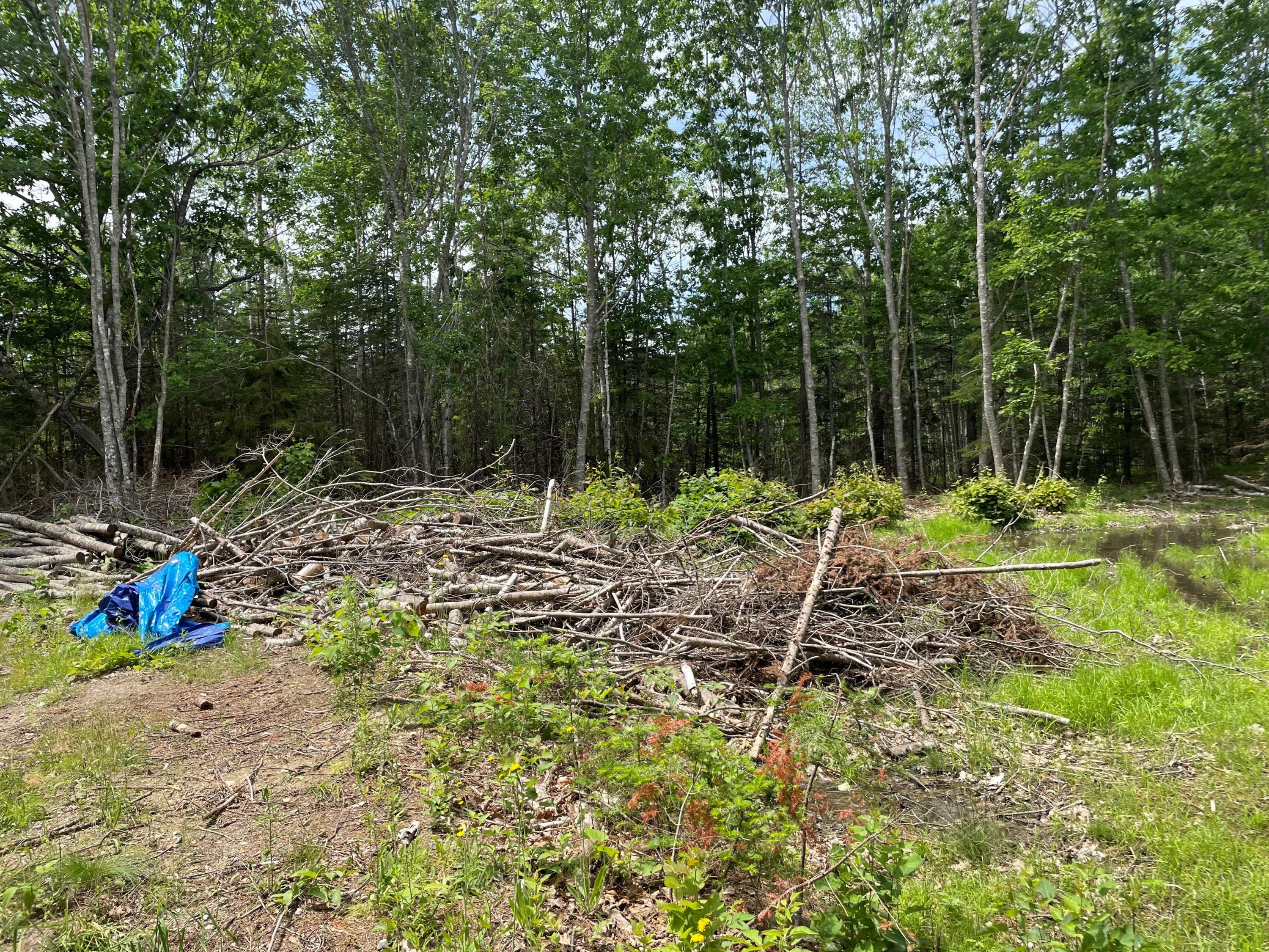 3 Robbins Point Road Gouldsboro, ME 04607 - Photo 4 of 7 pic 4