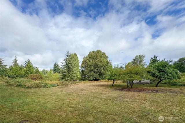 a view of a field with trees in background