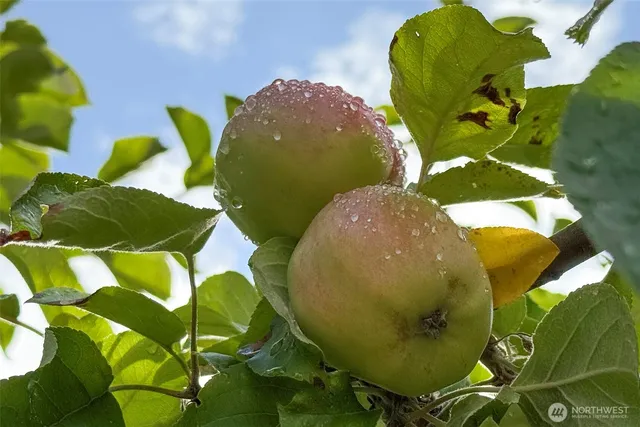 a view of a wooden door of the house