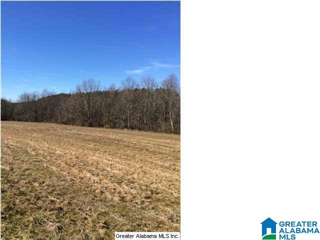 3703 Co Highway 24 Springville, AL 35146 - Photo 16 of 28