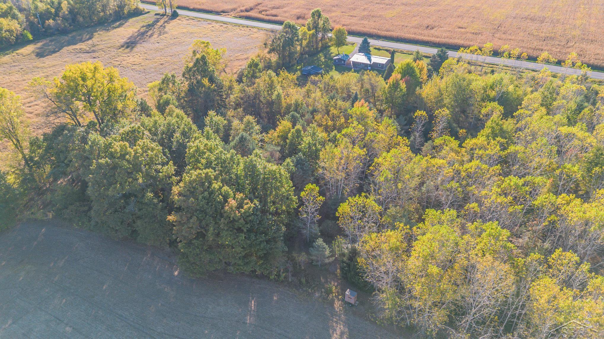 13245 Gasper Road St. Charles, MI 48655 - Photo 25 of 28 Property Aerial View