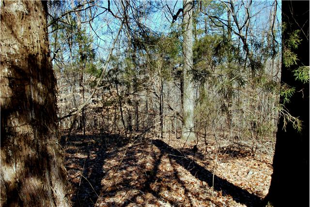 6230 Valley View Road Goodlettsville, TN 37072 - Photo 2 of 20 Gallery Image 2