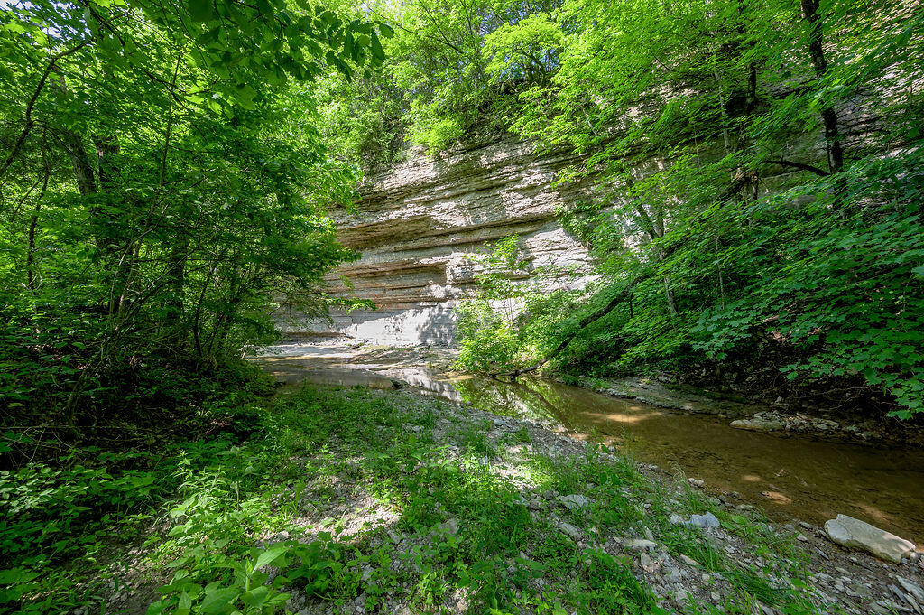 780 Stoney Run Road Richmond, KY 40475 - Photo 23 of 25 TDB_1383