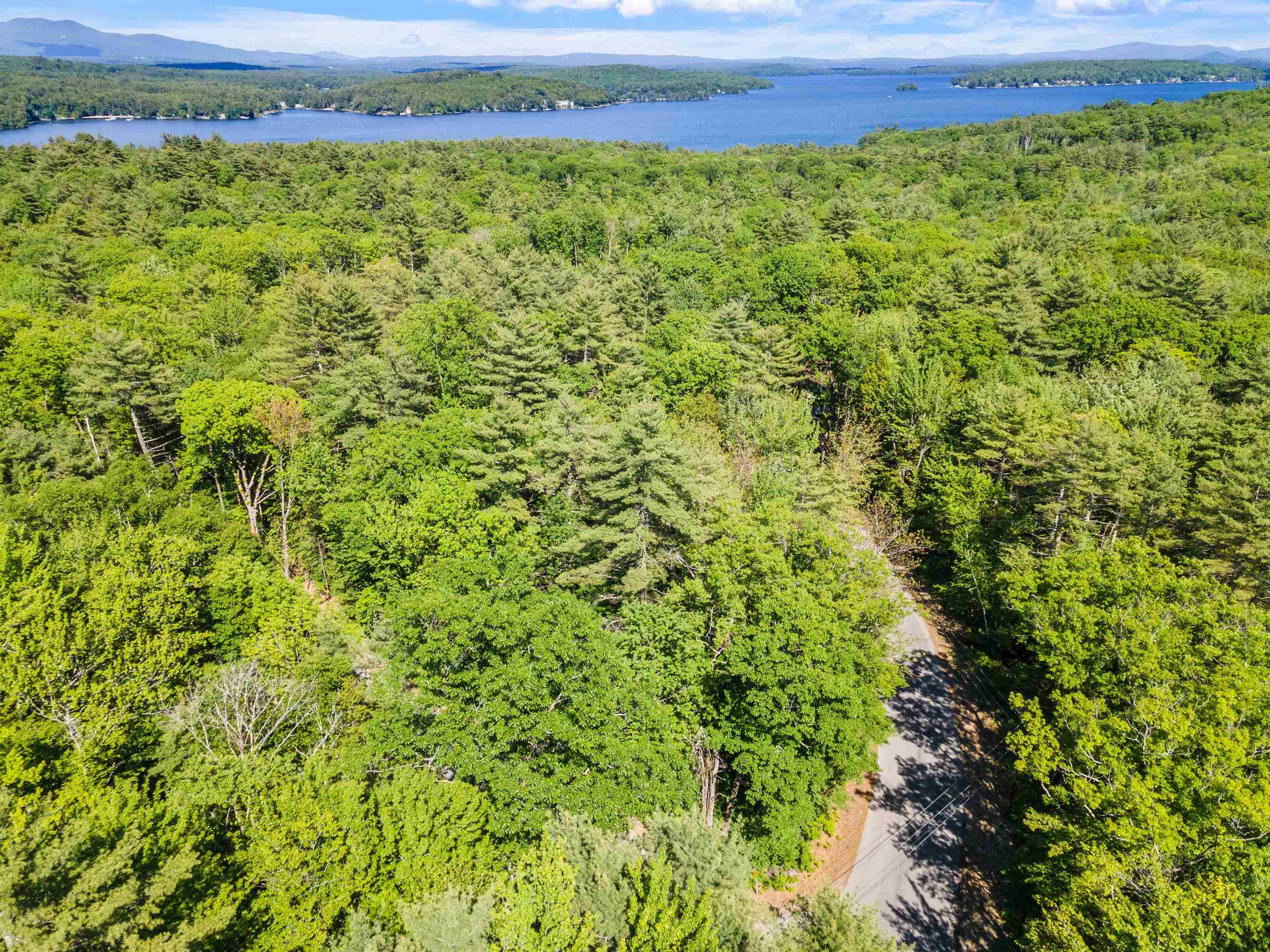 0 Needle Eye Road, Unit 53 Meredith, NH 03253 - Photo 10 of 13