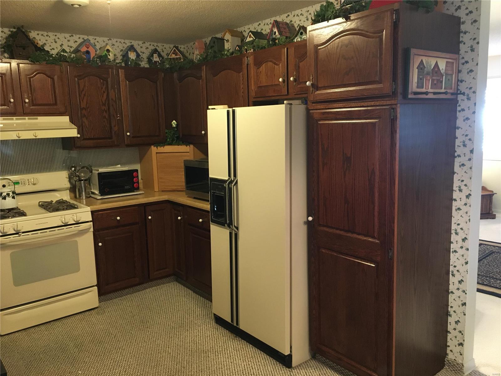 189 Willowood Road Litchfield, IL 62056 - Photo 15 of 23 Gallery Image 15