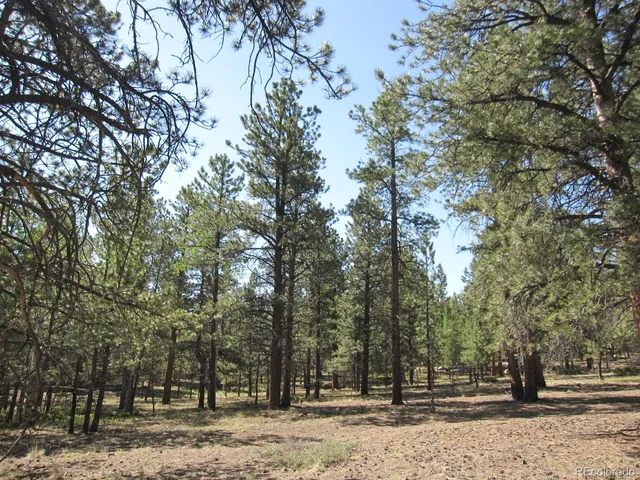 a view of outdoor space with trees