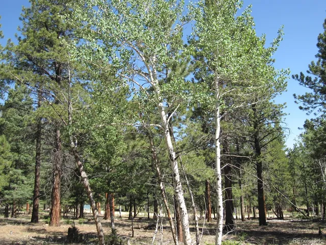 a view of a large building