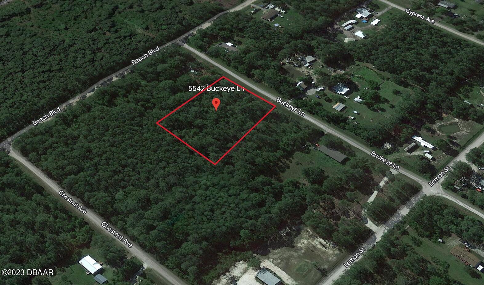 5542 Buckeye Lane Bunnell, FL 32110 - Photo 3 of 8 a picture of street view