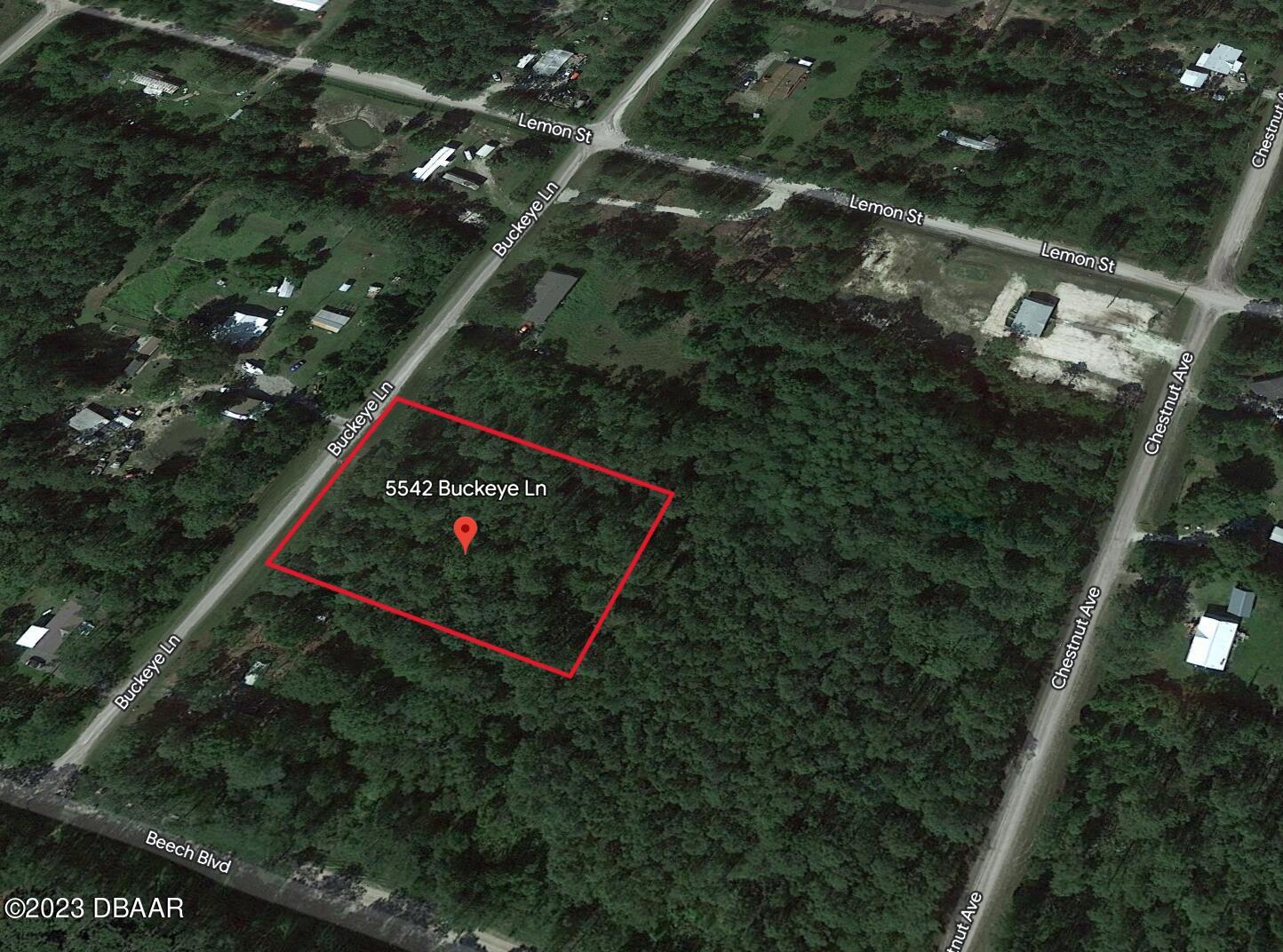 5542 Buckeye Lane Bunnell, FL 32110 - Photo 4 of 8 a sign that is sitting on a tree