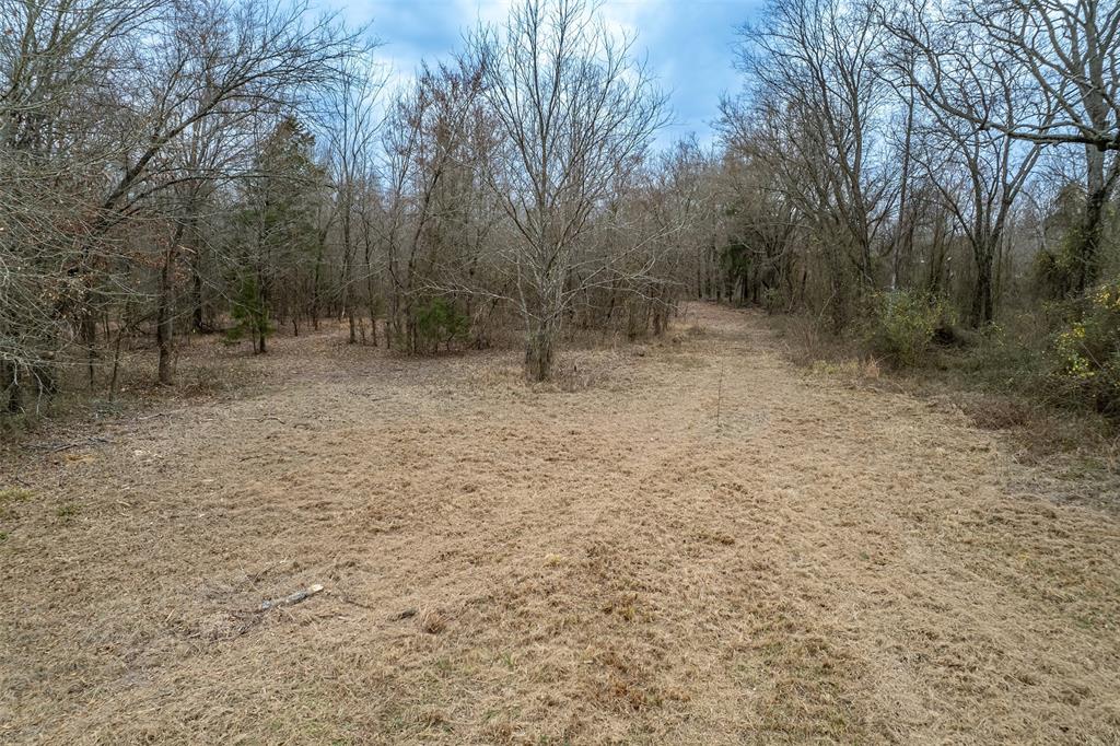 139 Northwest County Road, Unit 1061 Talco, TX 75487 - Photo 23 of 39 a view of a dry yard with trees