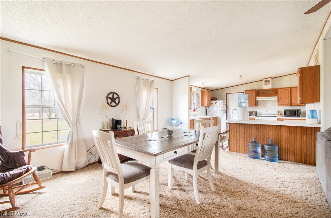 10135 Williams Road Diamond, OH 44412 - Photo 7 of 30 Dining area featuring light carpet, ceiling fan, a wealth of natural light, and lofted ceiling