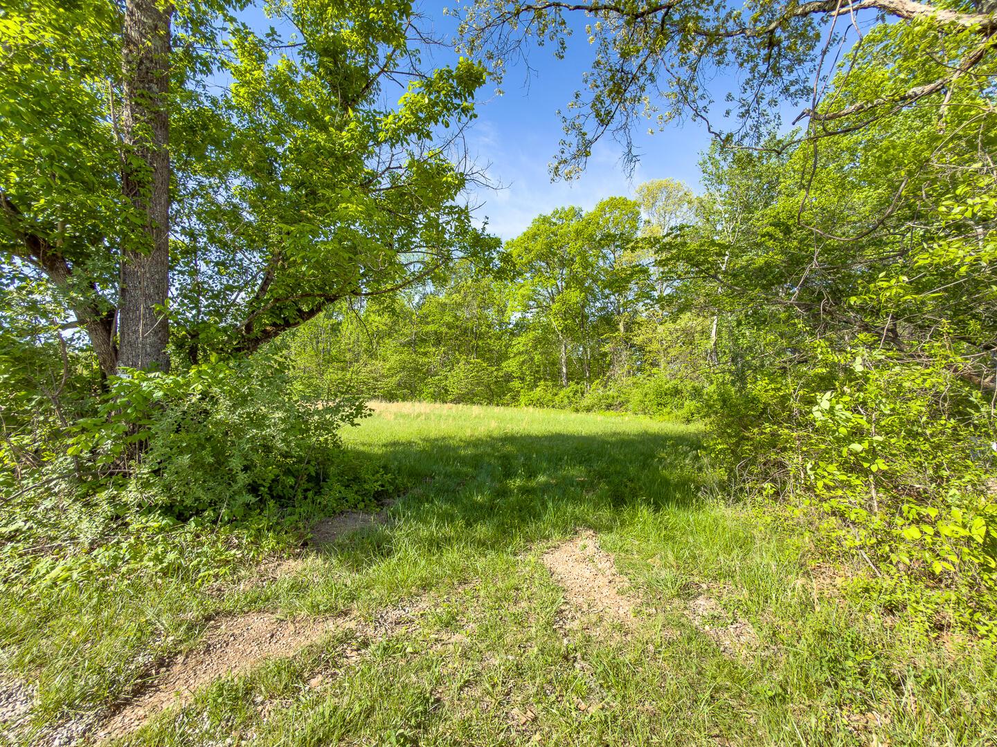 1 Perry Ridge Road Wilkesville, OH 45695 - Photo 6 of 19 Perry Ridge Rd Tract 1-3
